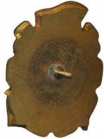 Badge  