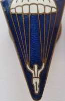 Badge Parachutist 
