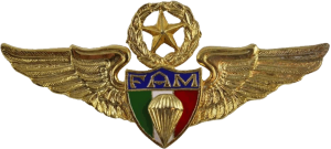 Нагрудный знак Мастер парашютист 