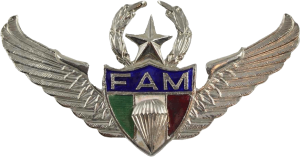 Нагрудный знак Мастер парашютист 