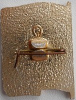 Badge  