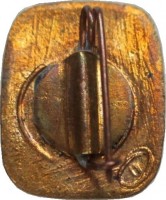 Нагрудный знак Космос 