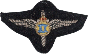 Нагрудный знак Пилот 