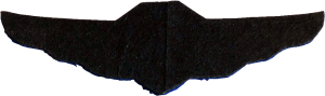 Badge Pilot 2nd class 