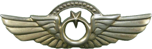 Нагрудный знак Пилот с налетом 1000 часов 