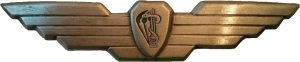 Нагрудный знак Поисково-спасательное подразделение 669 