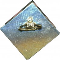Нагрудный знак Чемпионат СССР по боксу, Свердловск 1976 