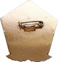 Badge  