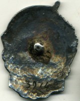 Нагрудный знак Отличник ВМФ 