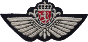 Badge Pilot 