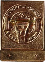 Нагрудный знак Тяжелая Атлетика. Чемпионат Мира И Европы. Москва 1975. Ewf (Тяж) 