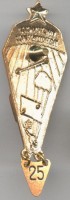 Badge Parachutist instructor 
