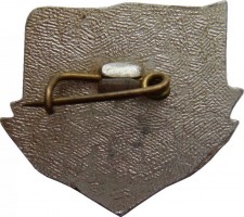 Нагрудный знак Ветеран Сахалинского Пароходства 