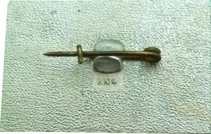 Badge  
