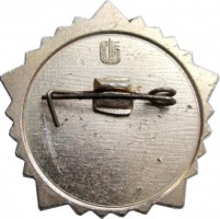 Нагрудный знак Готов к труду и обороне (ГТО) 1 степени 