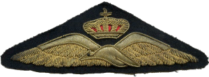 Badge Pilot 