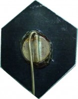 Нагрудный знак 3 Выпуск ВВПУСА ВМФ, 1965 