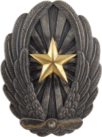 Нагрудный знак Пилот 