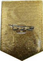 Нагрудный знак Дкбф. Десантник. Вмф. Флот. С Рубля! 
