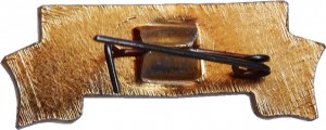 Badge  
