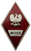 Badge High officer avtomobile school 