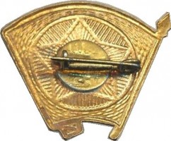 Нагрудный знак Влксм  