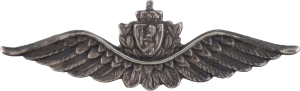Badge Pilot 