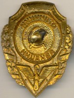 Нагрудный знак Отличник Авиации 