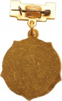 Нагрудный знак Чемпион. Первенство ДСО 