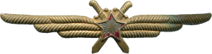 Нагрудный знак Летчик 