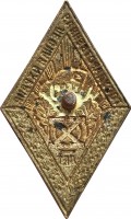 Нагрудный знак 10 Лет Государственная Лесная Охрана 