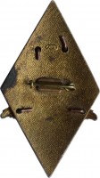 Нагрудный знак Институт Международных Отношений 