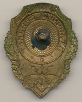 Нагрудный знак Отличный связист 