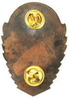 Badge Parachutist, bronze 
