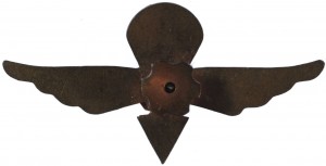Badge Parachutist without class 