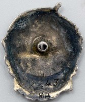 Нагрудный знак Отличник ВМФ 