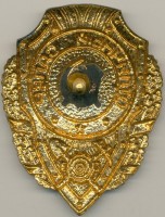 Нагрудный знак Отличный сапер 