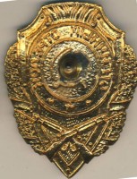 Нагрудный знак Отличный стрелок 