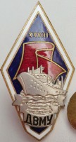 Нагрудный знак ДВМУ 
