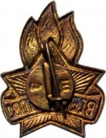 Нагрудный знак Всегда Готов! 