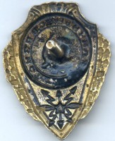 Нагрудный знак Отличный связист 