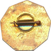 Нагрудный знак Москва  
