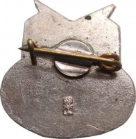 Нагрудный знак Кураховская ГРЭС 