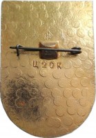 Badge  