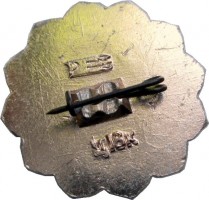Нагрудный знак День Рождения Комсомола 