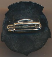 Badge  