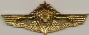 Badge Tank driver 2nd class 