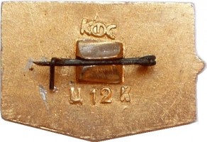 Нагрудный знак В память о полете. Норильск.  50 Лет СССР 