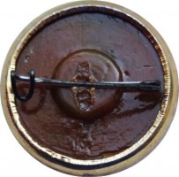 Нагрудный знак Летчик-Космонавт 