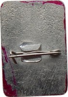 Нагрудный знак Высшая Нервная Деятельность. 22-ое совещание. Рязань. 1969 